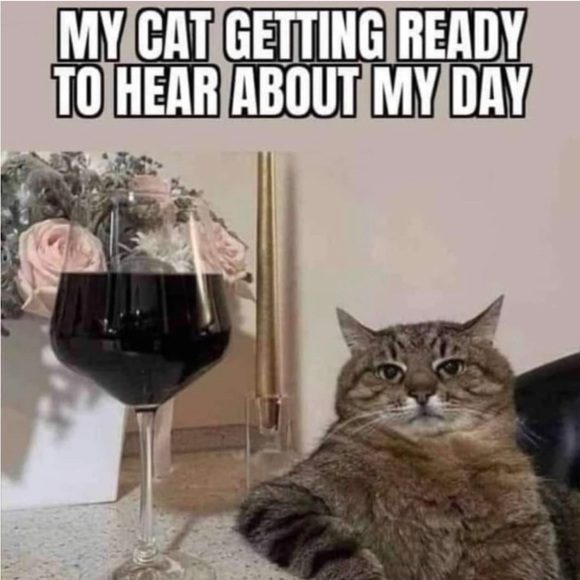 Meet your Posher, Laura - Picture 4 of 11